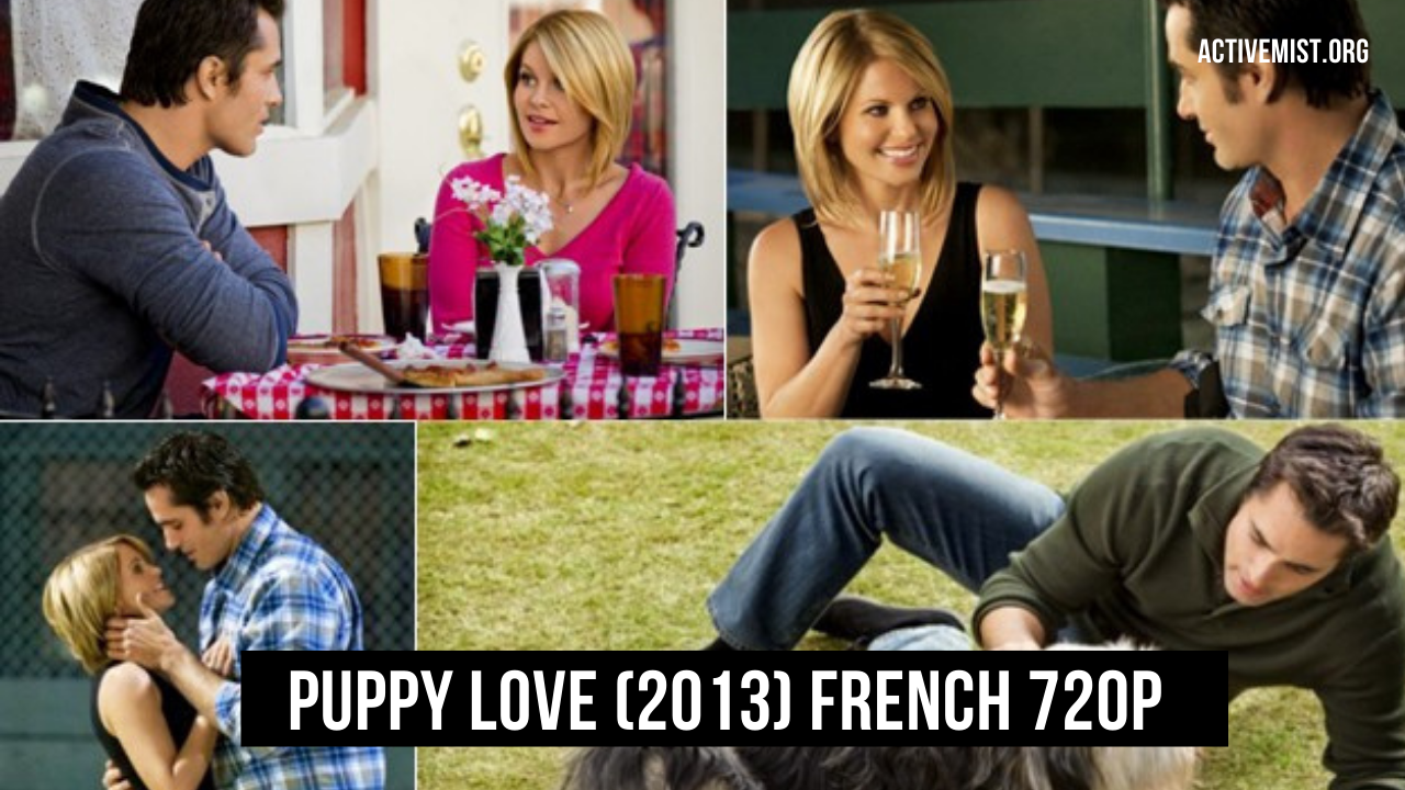 Puppy Love (2013) French 720p