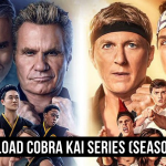 Download Cobra Kai Series (Season 1 – 3) Dual Audio {Hindi-English}
