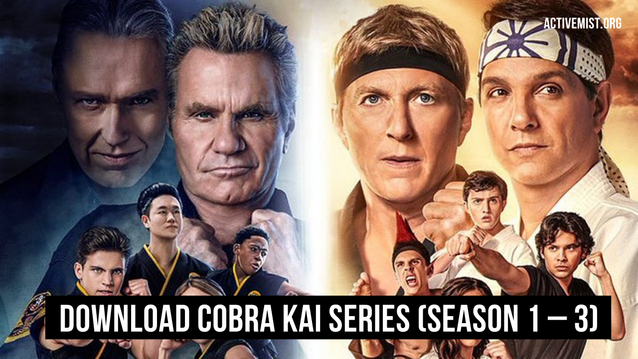 Download Cobra Kai Series (Season 1 – 3) Dual Audio {Hindi-English}